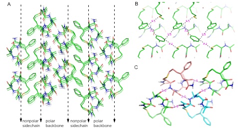 【Science Advances】螺旋多肽自组装及储能方面取得重要研究成果