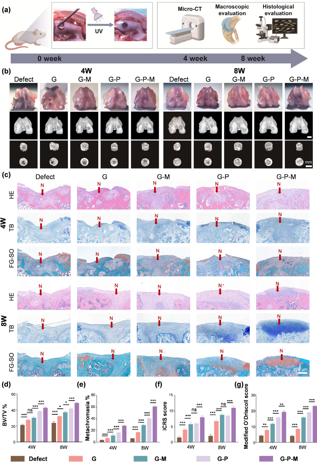 Fig.6.png